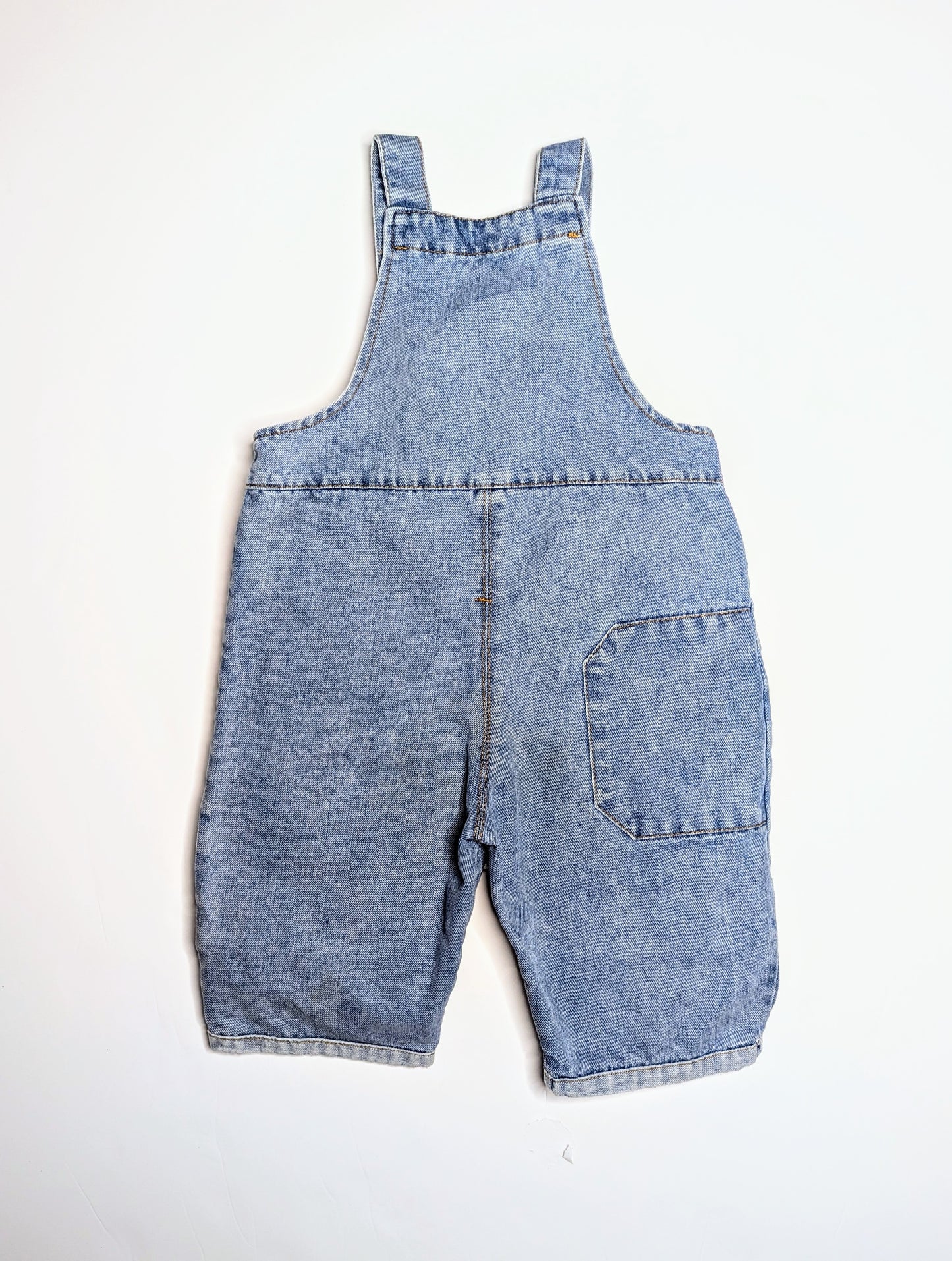 snackuum cleaner phoenix dungarees