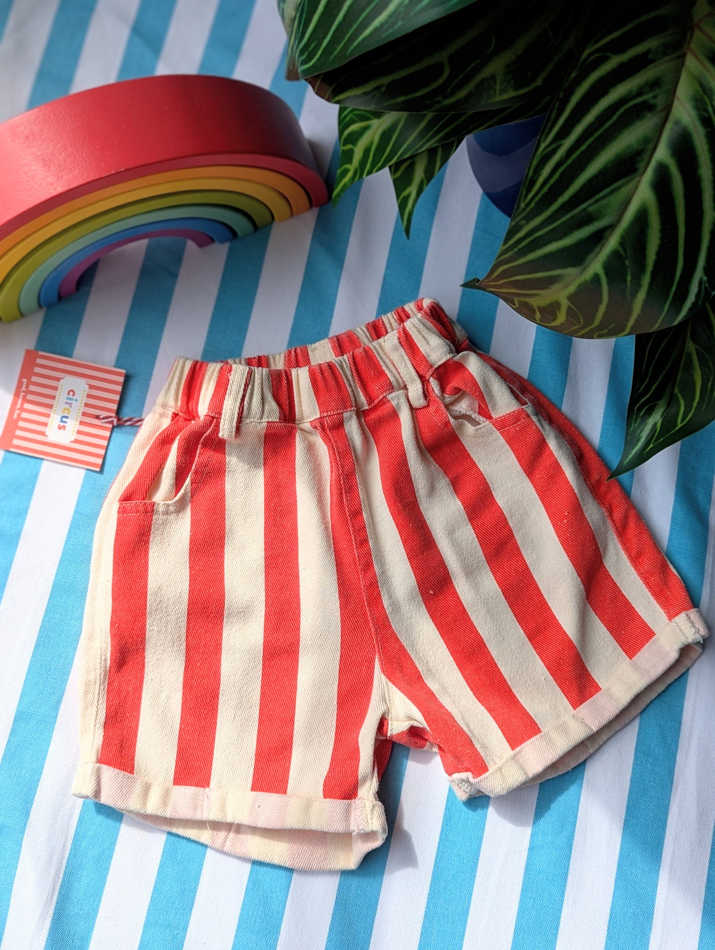 circus shorts