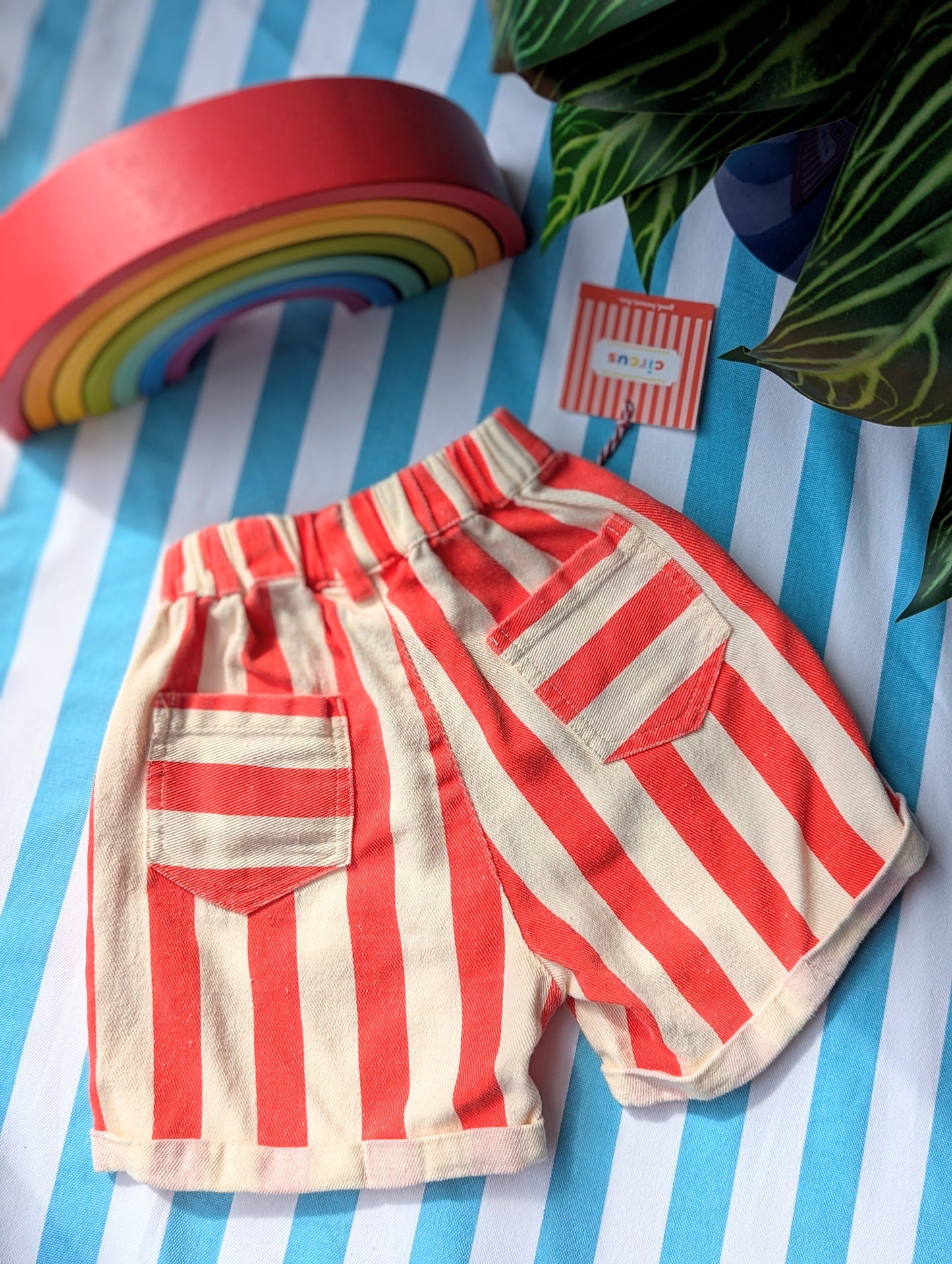 circus shorts