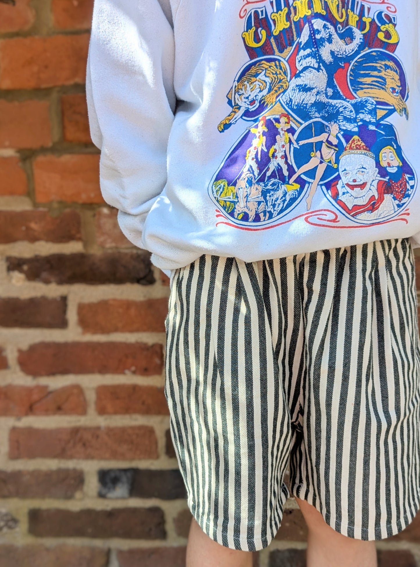 zebra shorts
